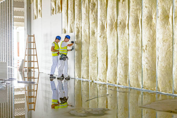 Best Insulation for New Construction  in Los Alamos, CA